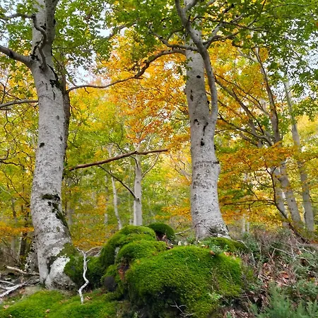 Encanto En El Moncayo Lägenhet