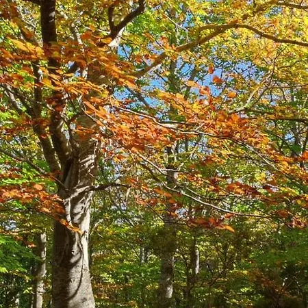 شقة Encanto En El Moncayo *