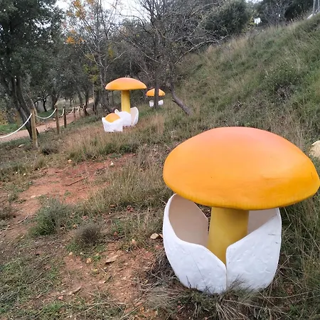 Encanto En El Moncayo * San Martín de Moncayo