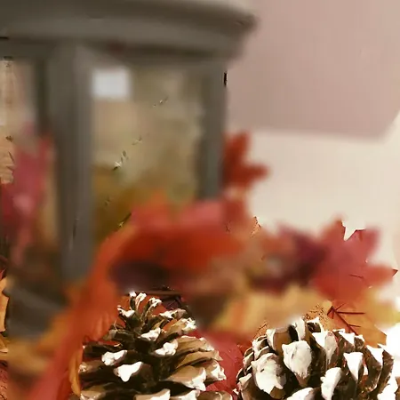 Encanto En El Moncayo