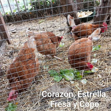 Encanto En El Moncayo Apartament San Martín de Moncayo