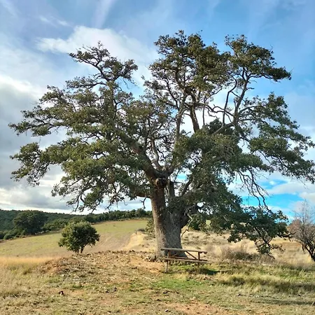 Encanto En El Moncayo Lägenhet San Martín de Moncayo