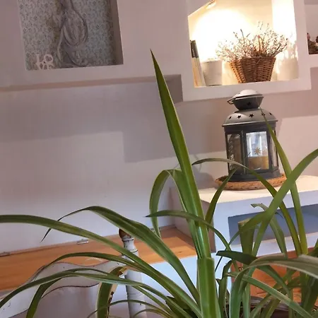 Apartament Encanto En El Moncayo