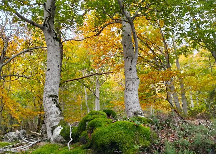 Encanto En El Moncayo Apartament