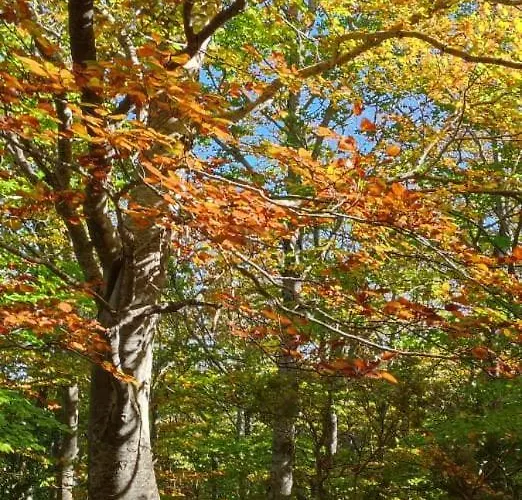 Apartament Encanto En El Moncayo *