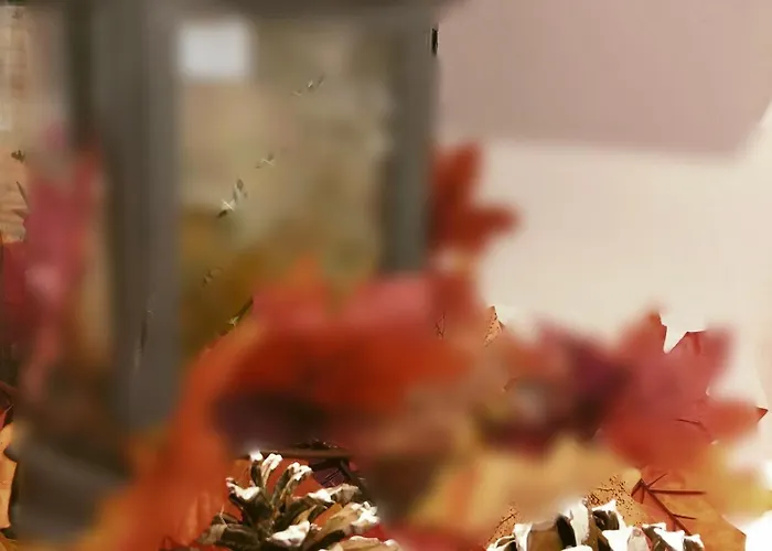 Encanto En El Moncayo