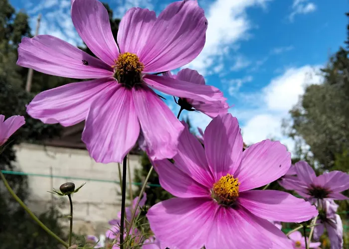 Apartament Encanto En El Moncayo *