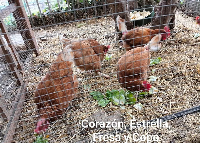 Encanto En El Moncayo Apartament San Martín de Moncayo