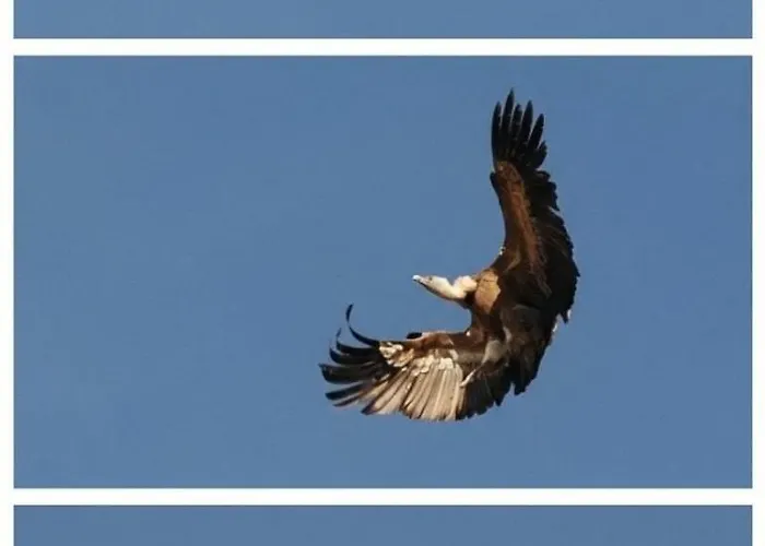 Apartment Encanto En El Moncayo *