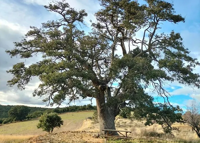 Encanto En El Moncayo Apartament San Martín de Moncayo